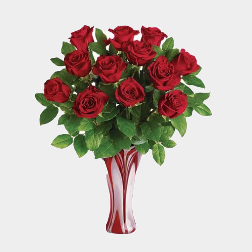 12 Extra Long Red Roses